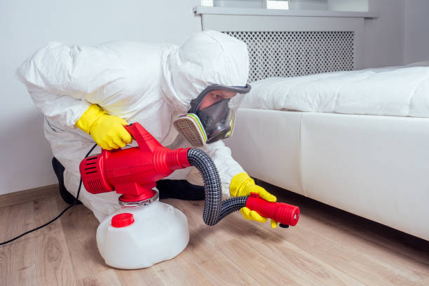 Best Insect Control  in Palmer Lake, CO