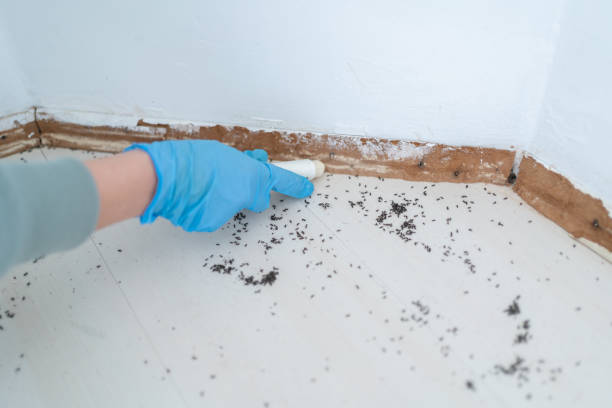 Best Commercial Pest Control Services  in Palmer Lake, CO